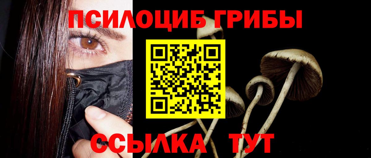 Галлюциногенные грибы Magic Shrooms Шадринск